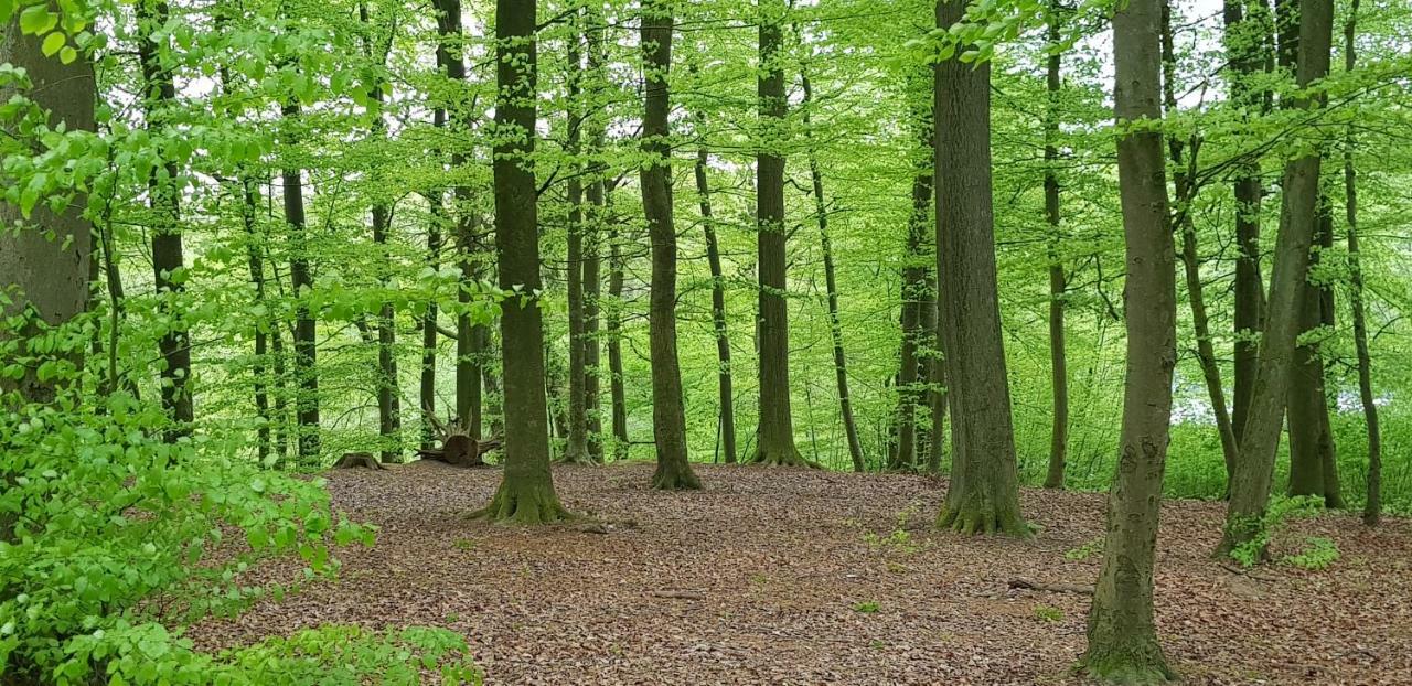 Ferienhaus Heide Bad Fallingbostel Luaran gambar